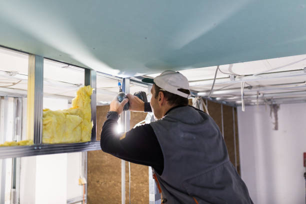 Best Residential Insulation Services  in Warm Springs, CA