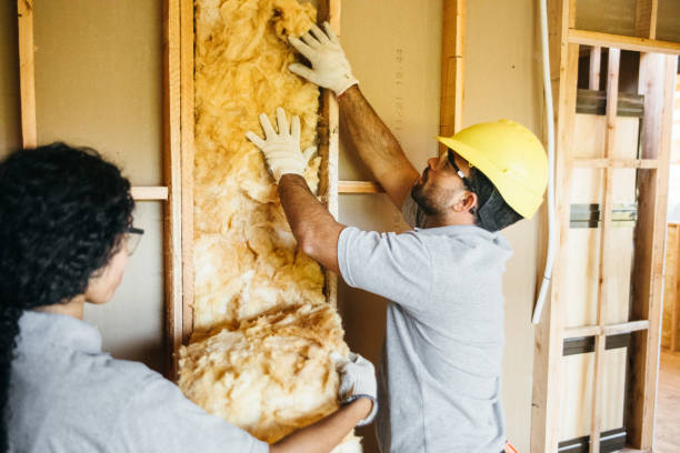 Best Insulation Replacement Services  in Warm Springs, CA